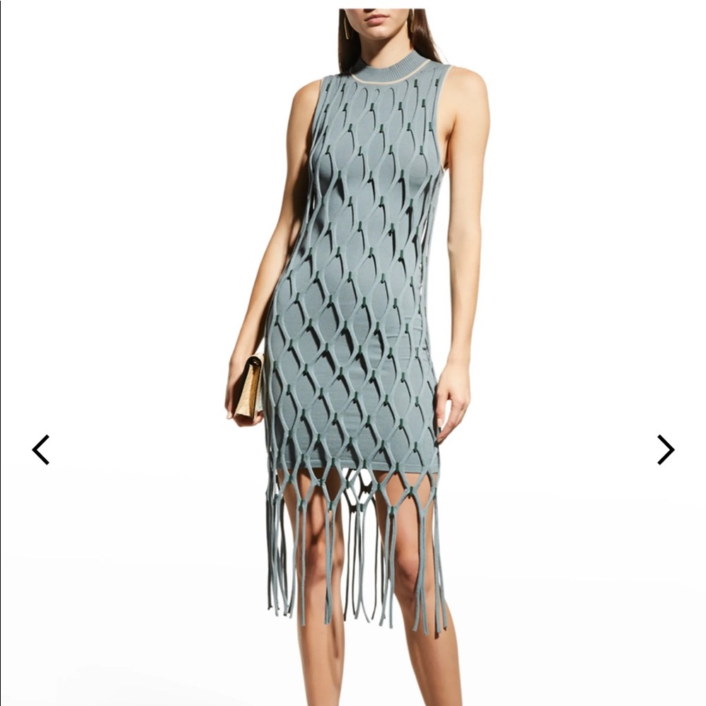 Jonathan Simkhai Mariel Fringe Mini Dress